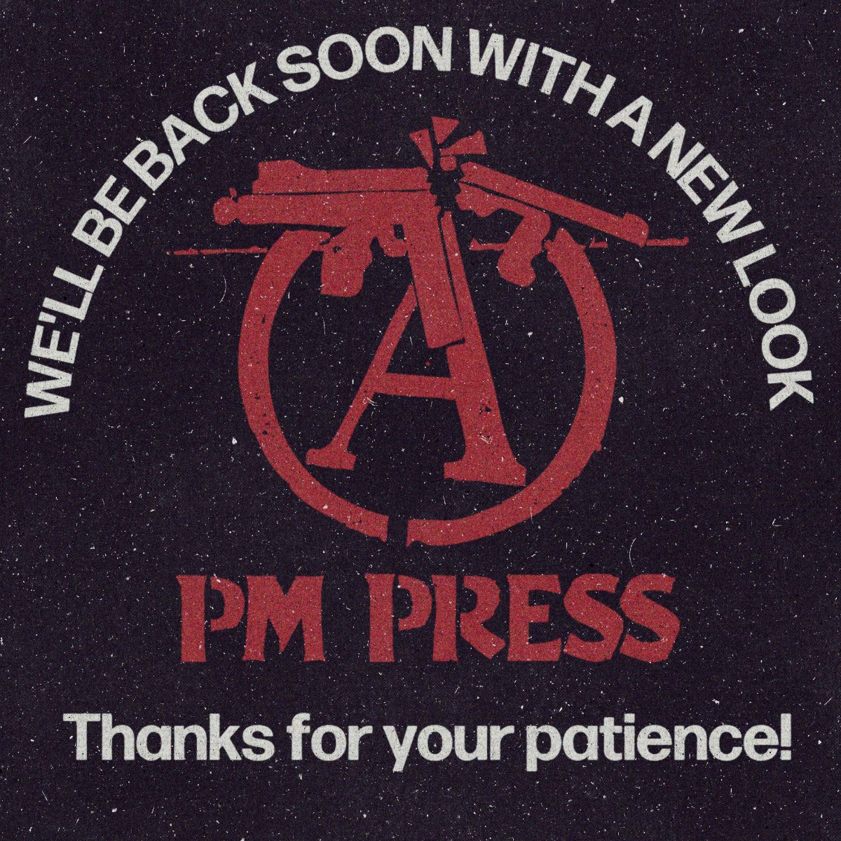 PM Press. We'll be back soon with a new look. Thanks for your patience!