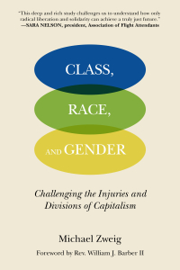 Class, Race, and Gender: Challenging the Injuries and Divisions of Capitalism (e-Book)