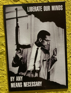 Vinyl Magnet - Malcolm By Any Means