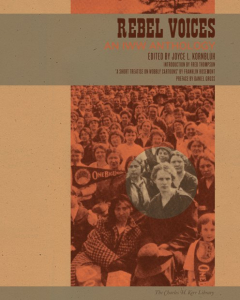Rebel Voices: An IWW Anthology (e-Book)